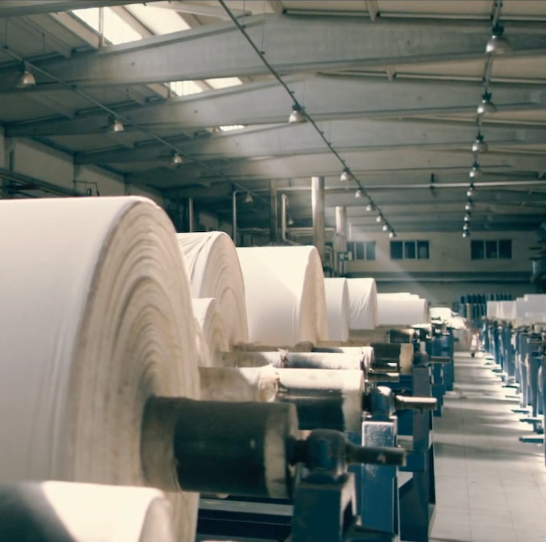 Rolls of finished organic cotton fabric at the mill