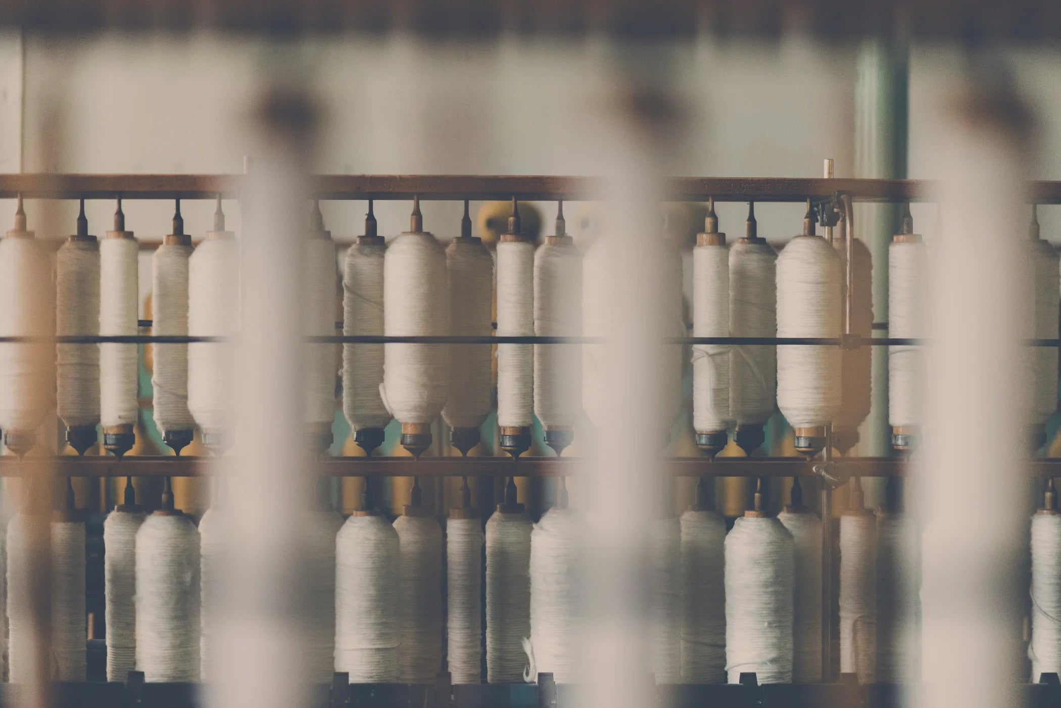Cotton yarn on the spinning frames at the mill