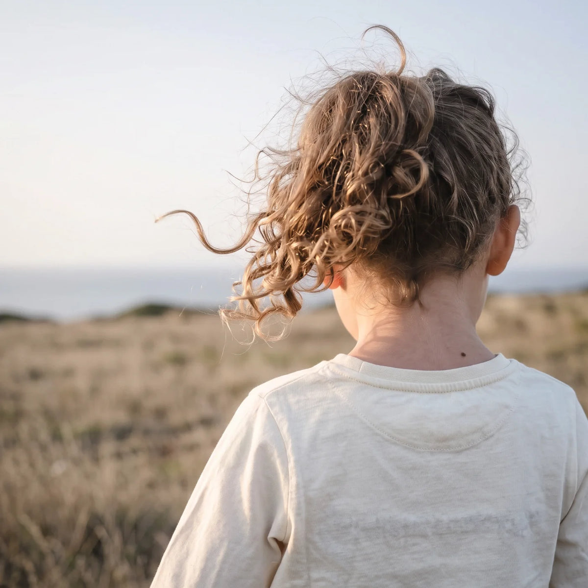 A child's hair lifted by wind, seen from behind.